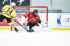 Buckeyes-VS-Wolverines_01