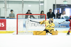 Buckeyes-VS-Wolverines_06