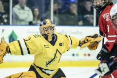 Buckeyes-VS-Wolverines_10