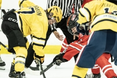 Buckeyes-VS-Wolverines_100