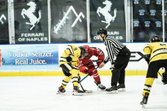 Buckeyes-VS-Wolverines_110