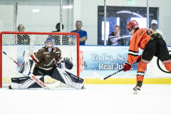 Tigers-VS-Bears_01