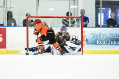 Tigers-VS-Bears_03