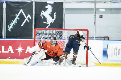 Tigers-VS-Bears_04