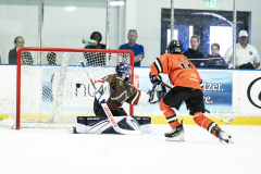 Tigers-VS-Bears_05