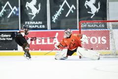 Tigers-VS-Bears_06