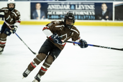 Tigers-VS-Bears_09