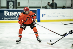 Tigers-VS-Bears_11