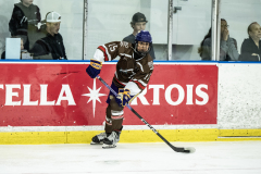 Tigers-VS-Bears_13