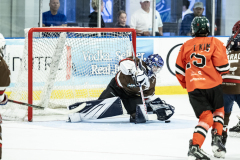 Tigers-VS-Bears_14