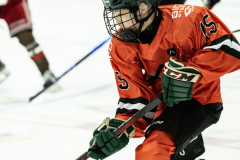 Tigers-VS-Bears_16