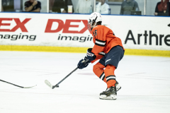 Tigers-VS-Bears_24