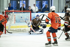 Tigers-VS-Bears_26