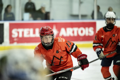 Tigers-VS-Bears_27