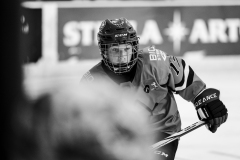 Tigers-VS-Bears_28