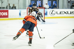 Tigers-VS-Bears_30