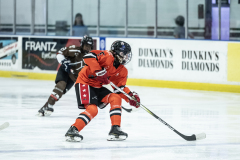 Tigers-VS-Bears_33
