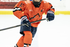 Tigers-VS-Bears_38