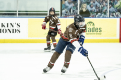 Tigers-VS-Bears_39