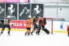 Tigers-VS-Bears_43