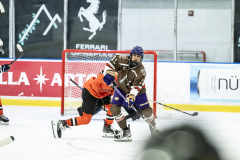 Tigers-VS-Bears_44