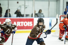 Tigers-VS-Bears_45