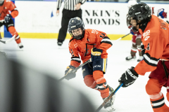 Tigers-VS-Bears_47