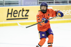 Tigers-VS-Bears_52