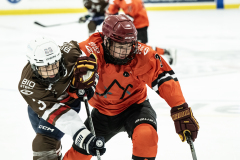 Tigers-VS-Bears_53
