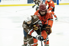 Tigers-VS-Bears_54