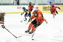 Tigers-VS-Bears_55