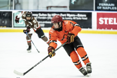 Tigers-VS-Bears_56