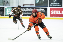 Tigers-VS-Bears_57