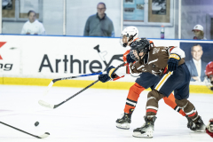 Tigers-VS-Bears_60