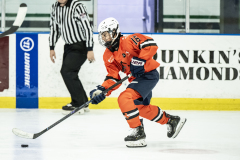 Tigers-VS-Bears_61