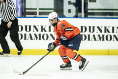 Tigers-VS-Bears_62