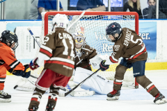 Tigers-VS-Bears_64