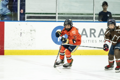 Tigers-VS-Bears_65
