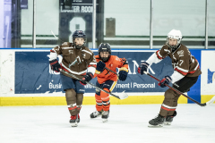 Tigers-VS-Bears_66