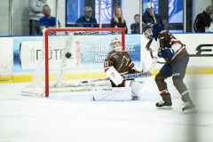 Tigers-VS-Bears_67