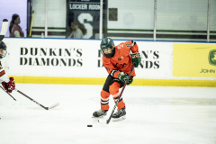 Tigers-VS-Bears_72