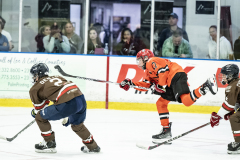Tigers-VS-Bears_73