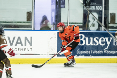 Tigers-VS-Bears_74