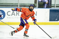 Tigers-VS-Bears_75