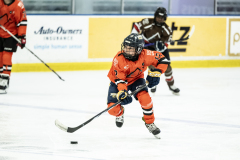 Tigers-VS-Bears_77