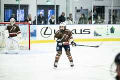 Tigers-VS-Bears_79