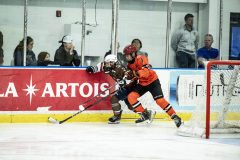 Tigers-VS-Bears_80
