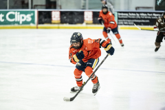 Tigers-VS-Bears_82
