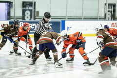 Tigers-VS-Bears_84