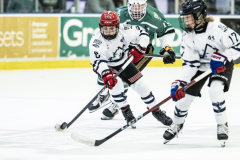 Wildcats-VS-Spartans_58